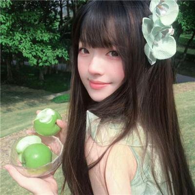 苍蝇之母