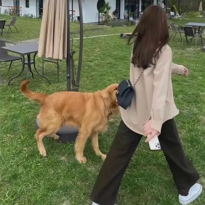 杀的就是你